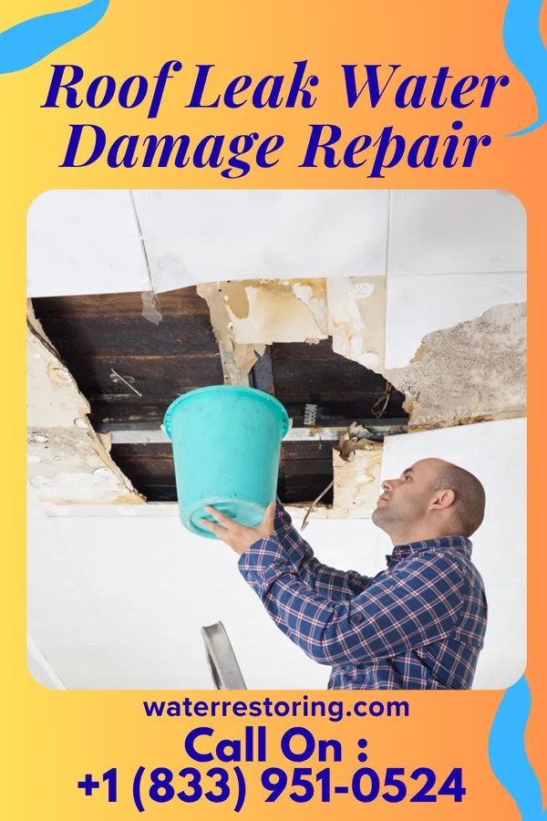 Roof Leak Water Damage Repair in Anson, TX