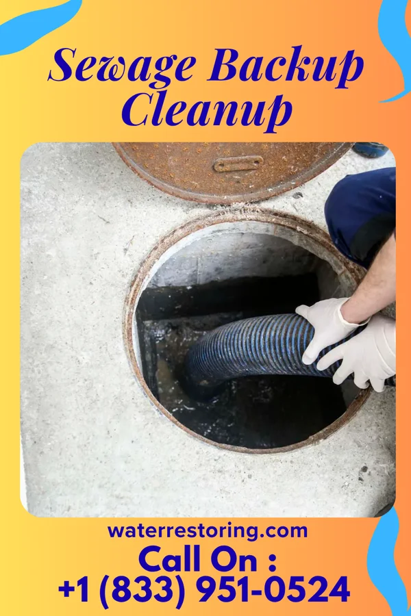 Sewage Backup Cleanup in Anson, TX